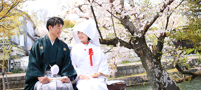 location_sakura02