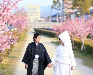 2706美観地区桜ロケーション空き状況☆