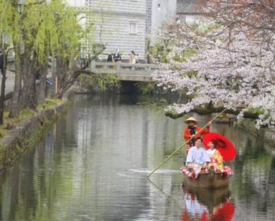 2720美観地区桜ロケーション空き状況☆