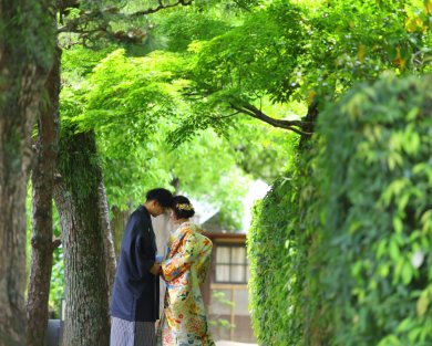 緑の時期の撮影、まだ間に合います！！！