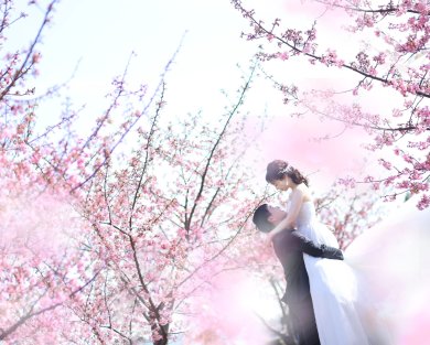 梅・河津桜・菜の花の撮影ご予約受付中です(*^-^*)