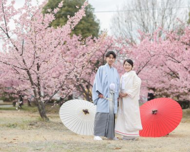 2024年 撮れたて河津桜ロケのご紹介 part.2