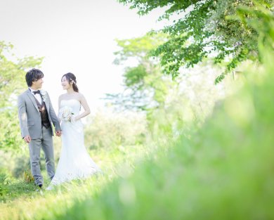 新緑のオリーブ園♪