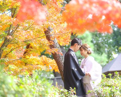 美観地区 紅葉ロケーション♪