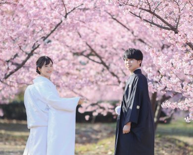河津桜ロケーションご予約承り中です＊