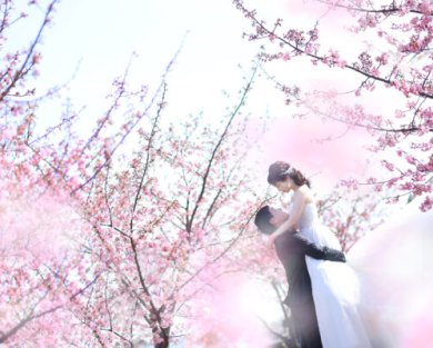 9198河津桜撮影♪