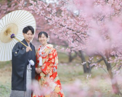 91182025年春＊桜ロケーション撮影、ご予約承っております