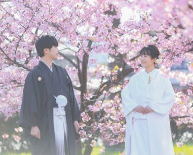 90982025年春＊桜ロケーション撮影、ご予約承っております