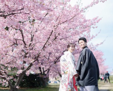 河津桜撮影♪