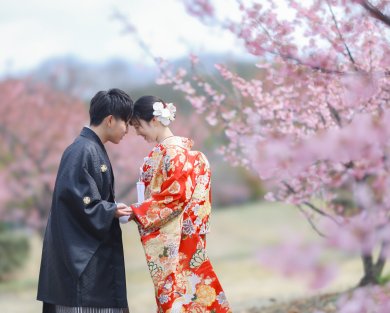 桜ロケーションご予約受付中です♪