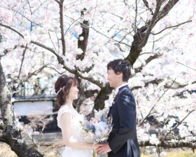 9408桜シーズンの撮影 まだ間に合います＊*