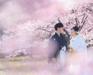 9414桜シーズンの撮影 まだ間に合います＊*