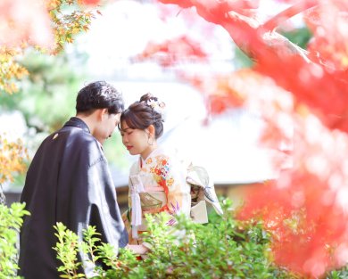 紅葉撮影まだ間に合います＊*