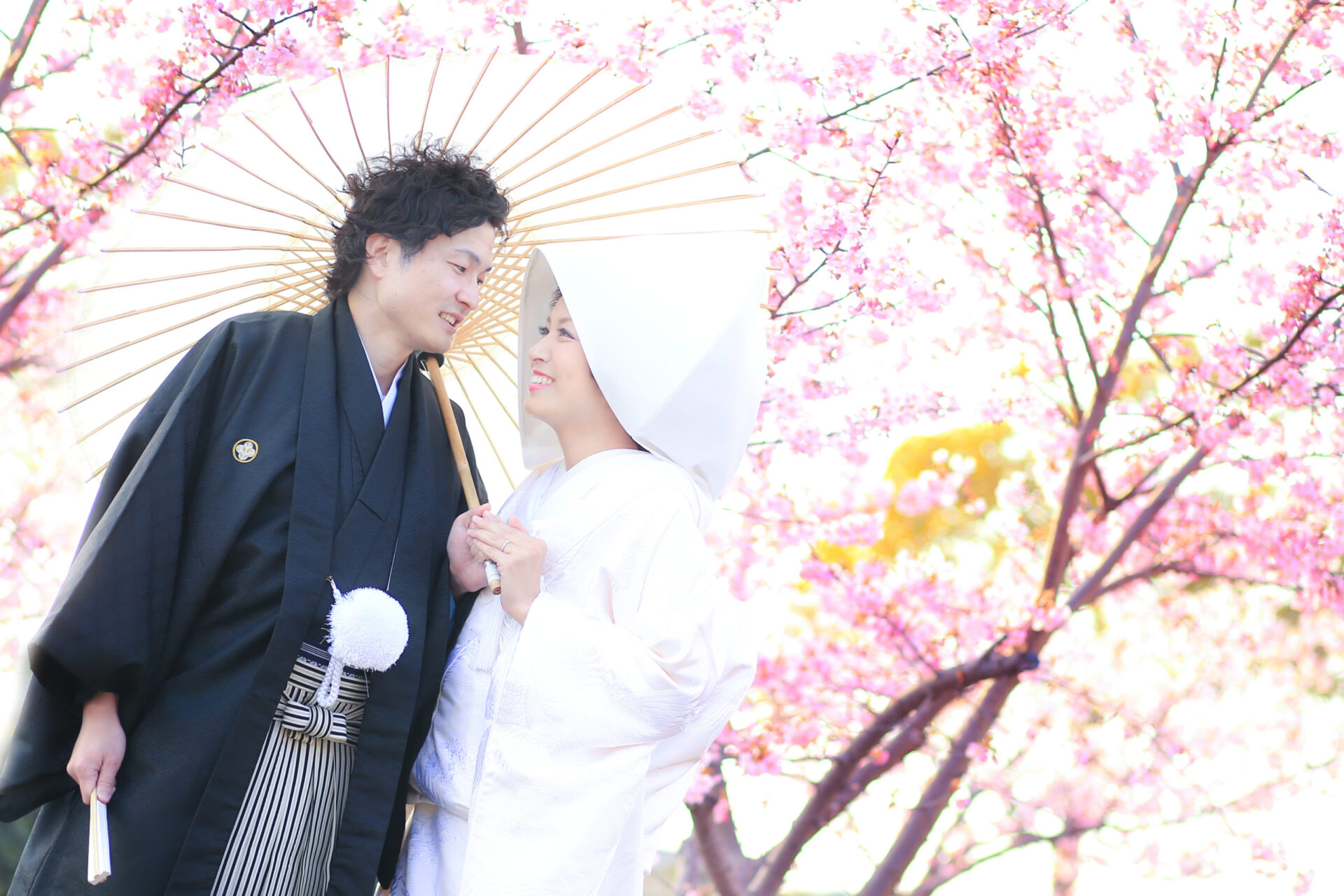 倉敷で有名な「河津桜プラン」登場☆