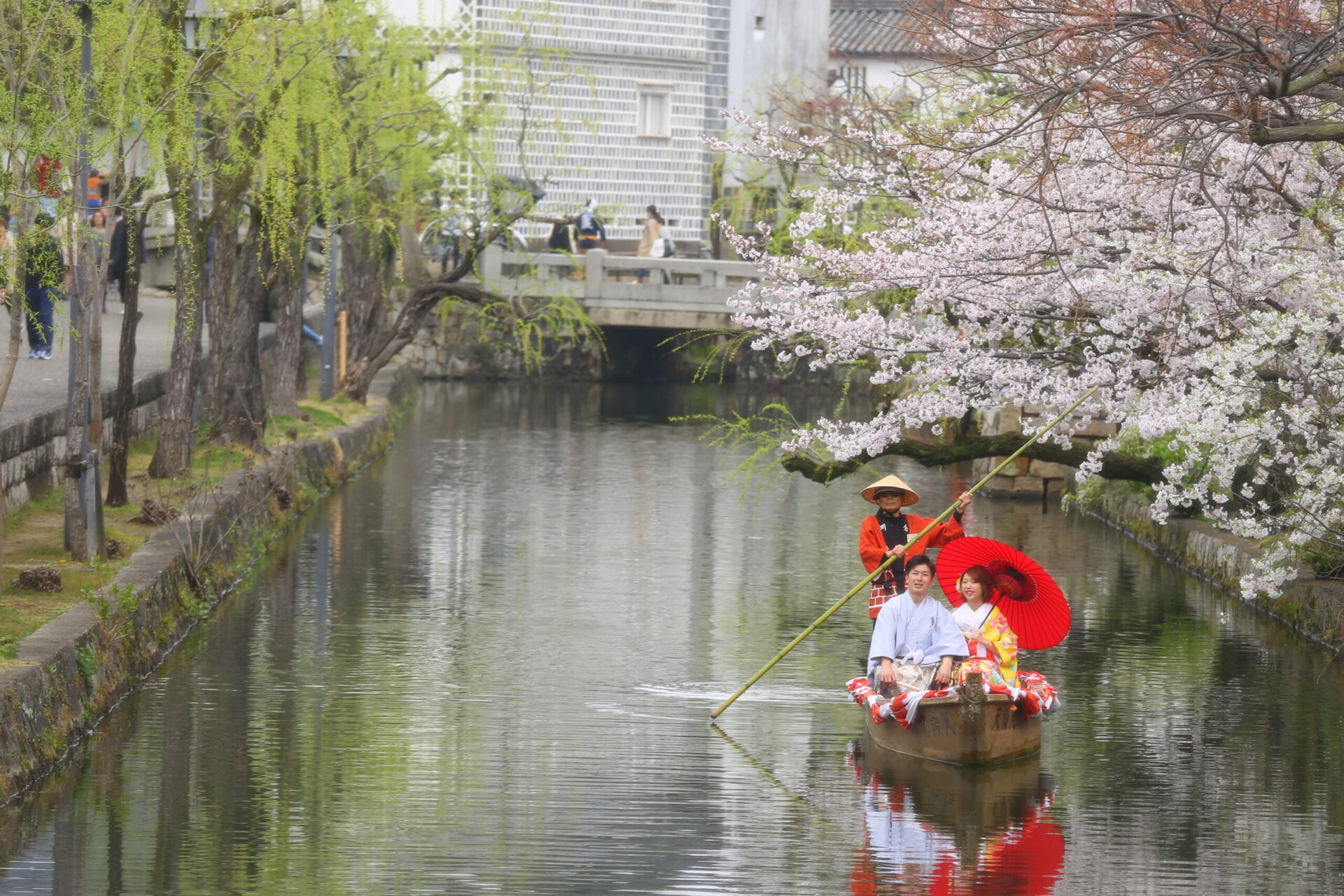 大人気！！桜ロケーション(*^-^*)