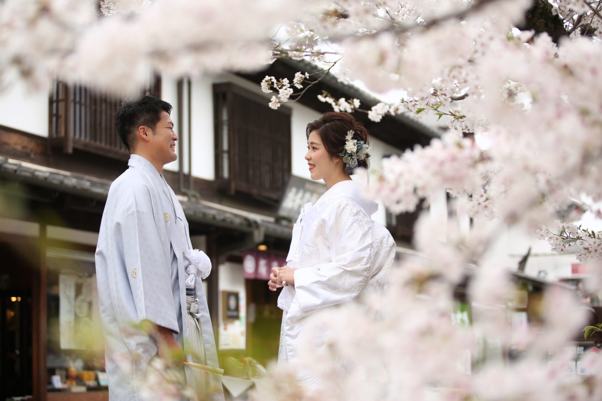 美観地区桜ロケーション空き状況☆