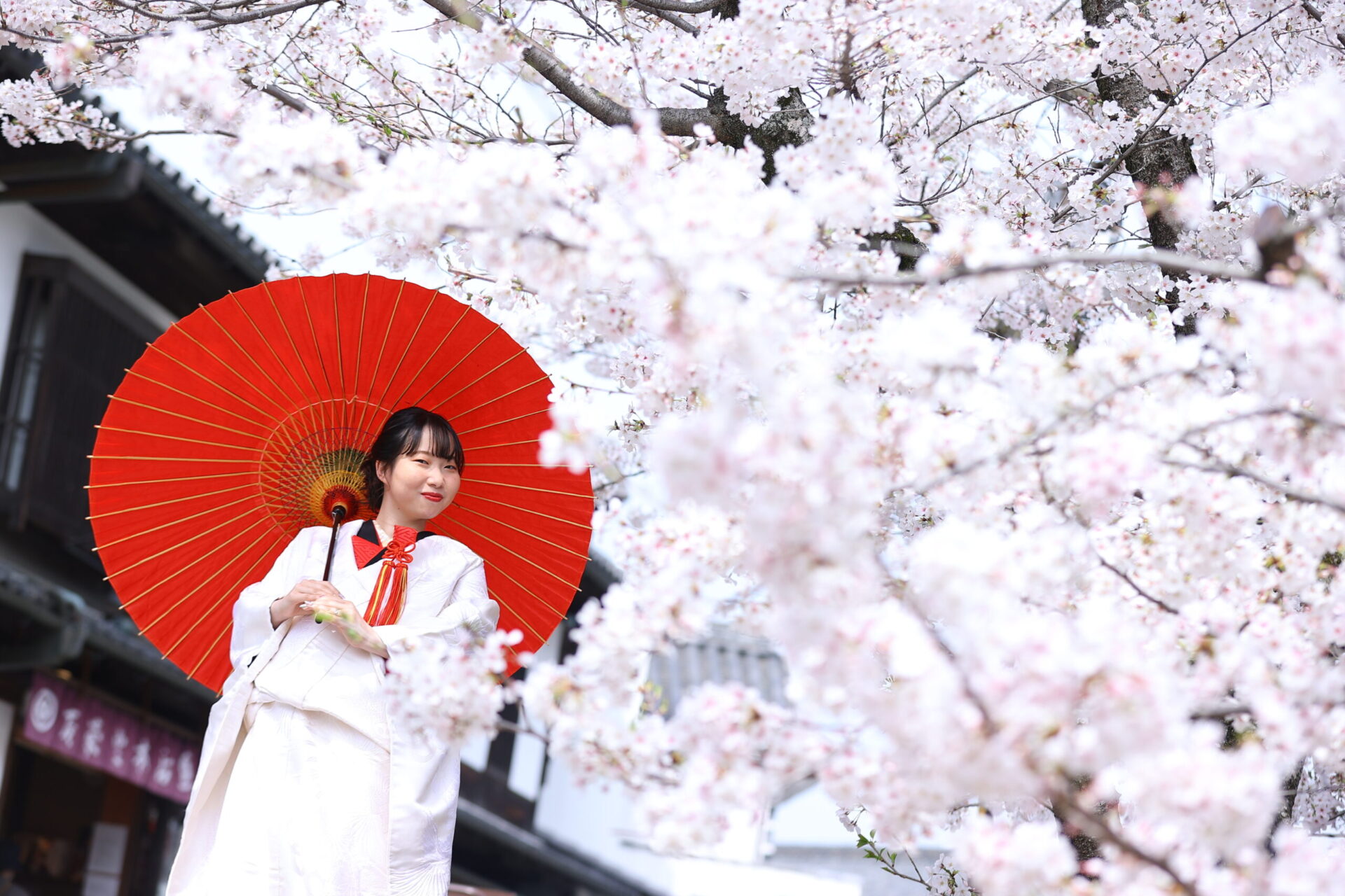 桜ロケーション撮影♪