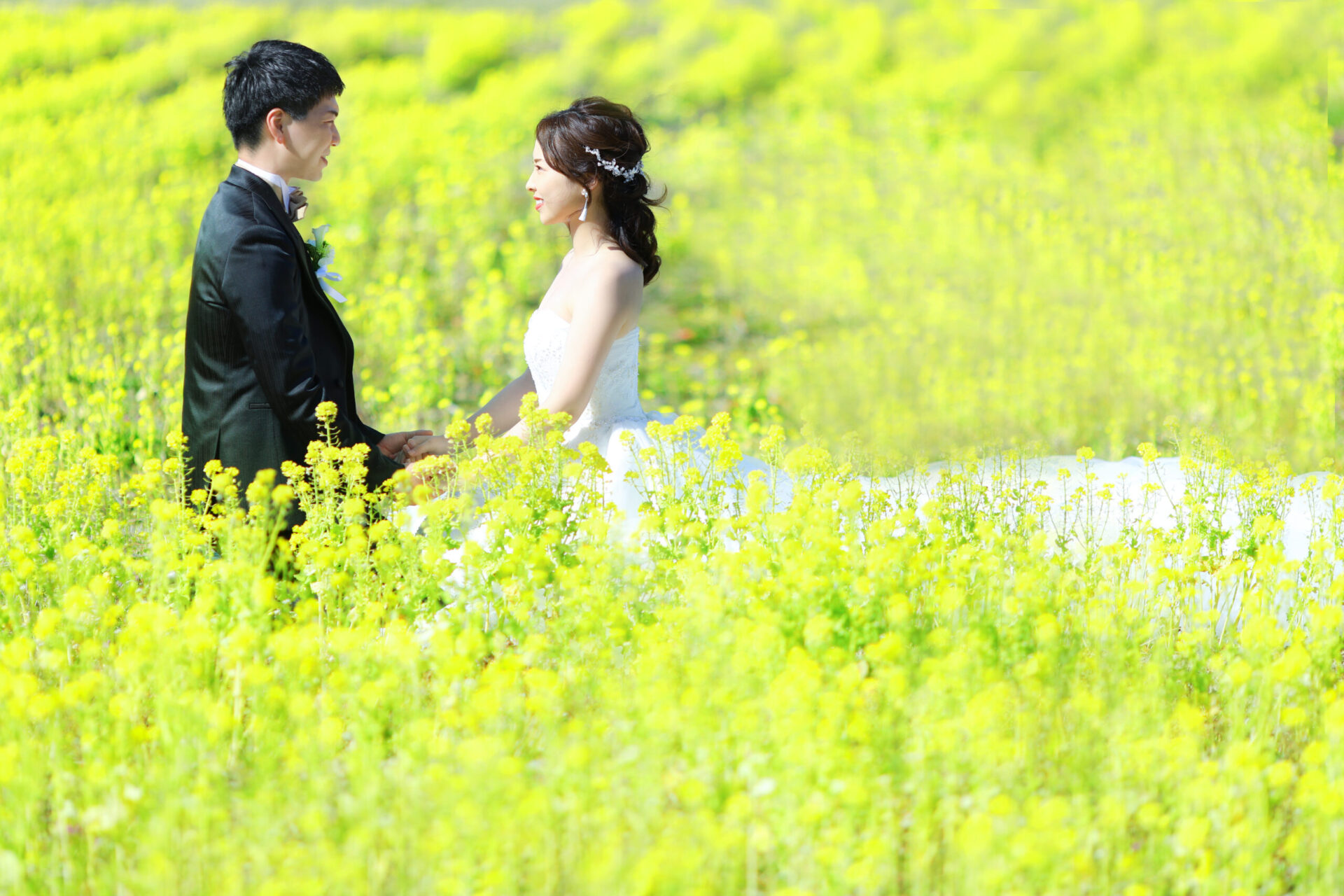 春・初夏の撮影お申込ＳＴＡＲＴ♩