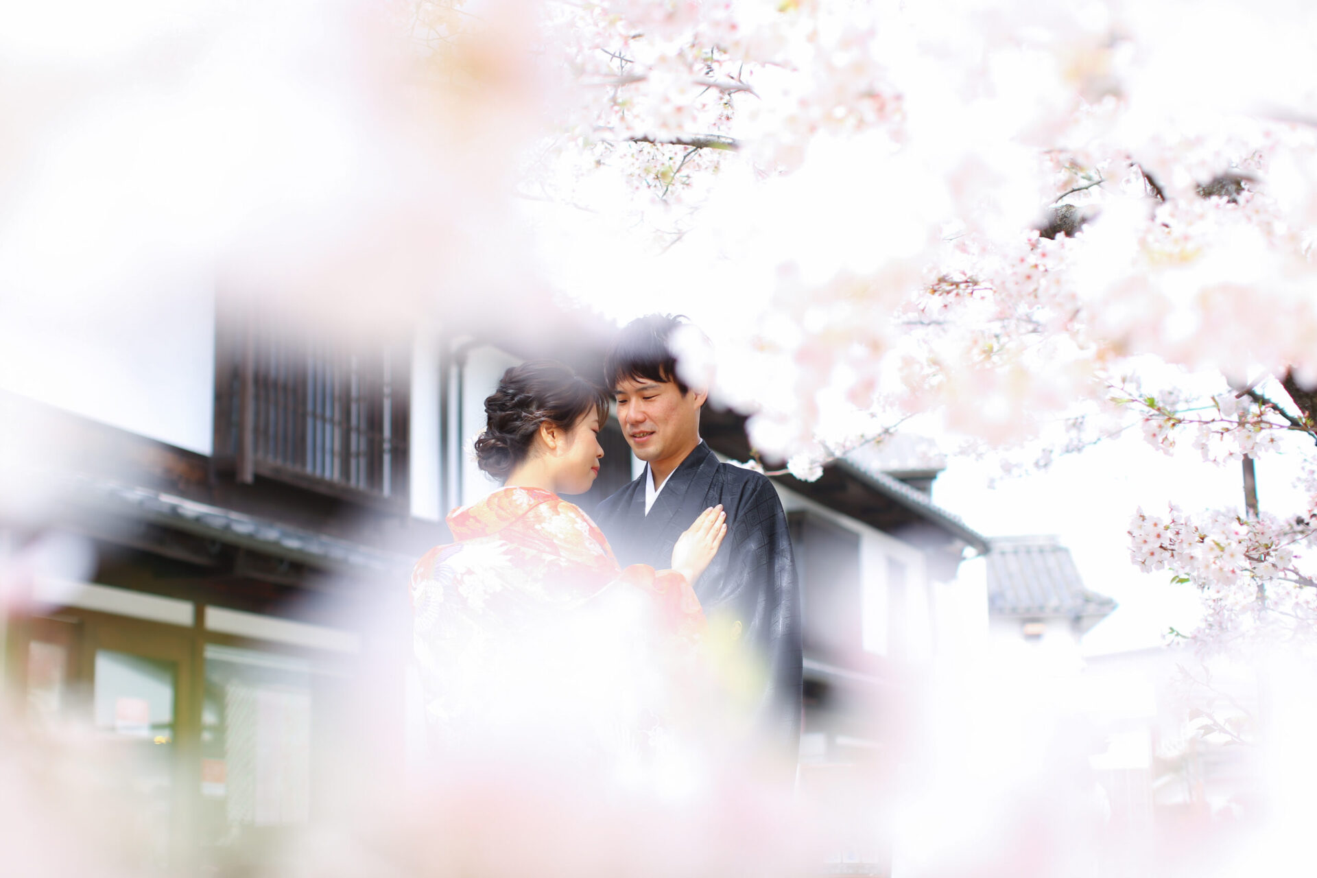 桜撮影おいそぎください♬