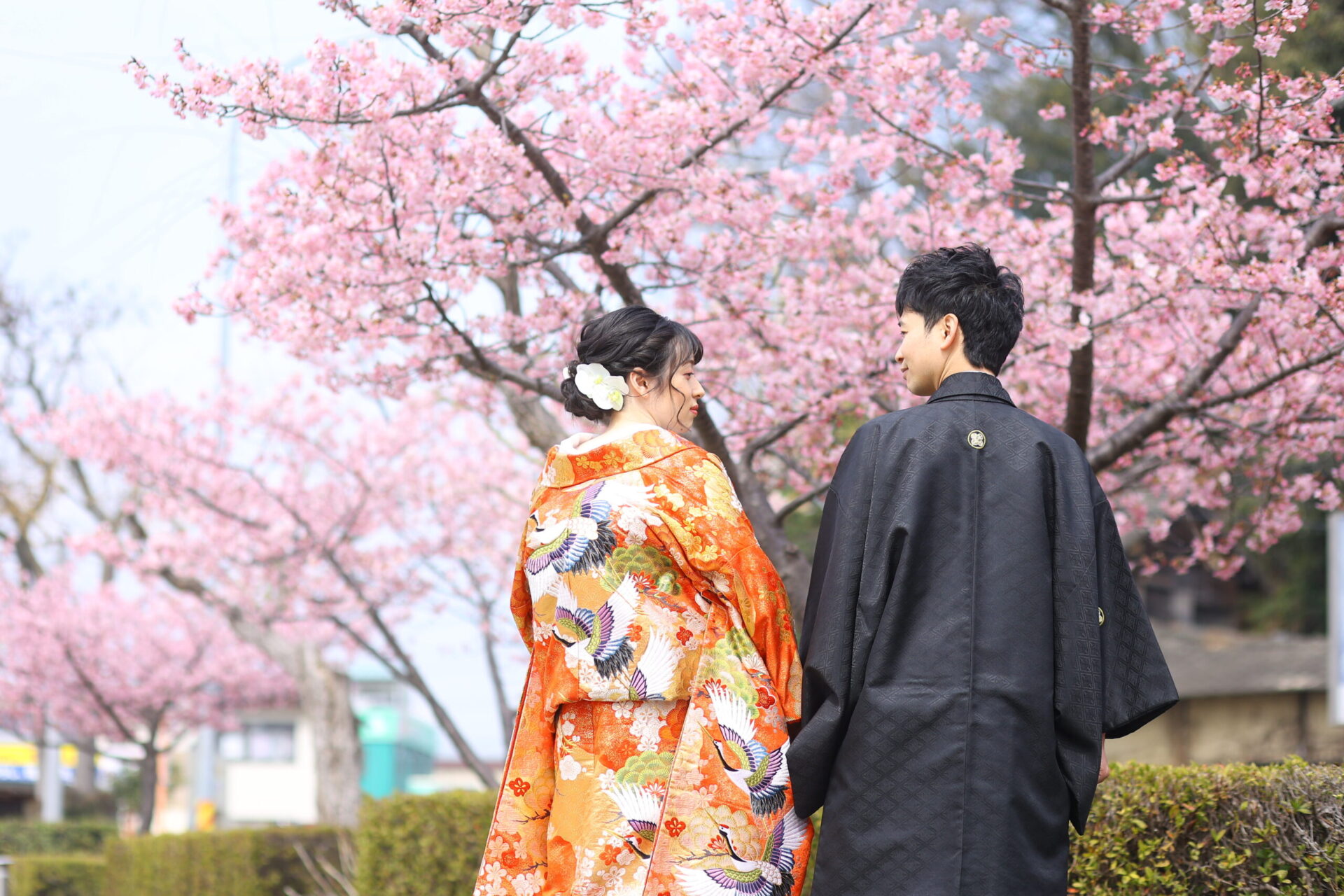 お花の季節がやってきました♪