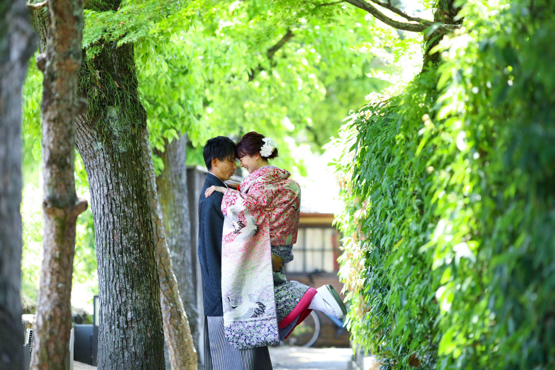 新緑撮影のご案内