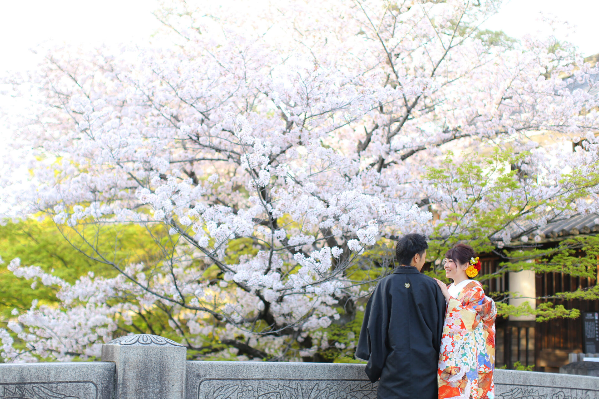 まだ間に合う、桜ロケーション(^^♪