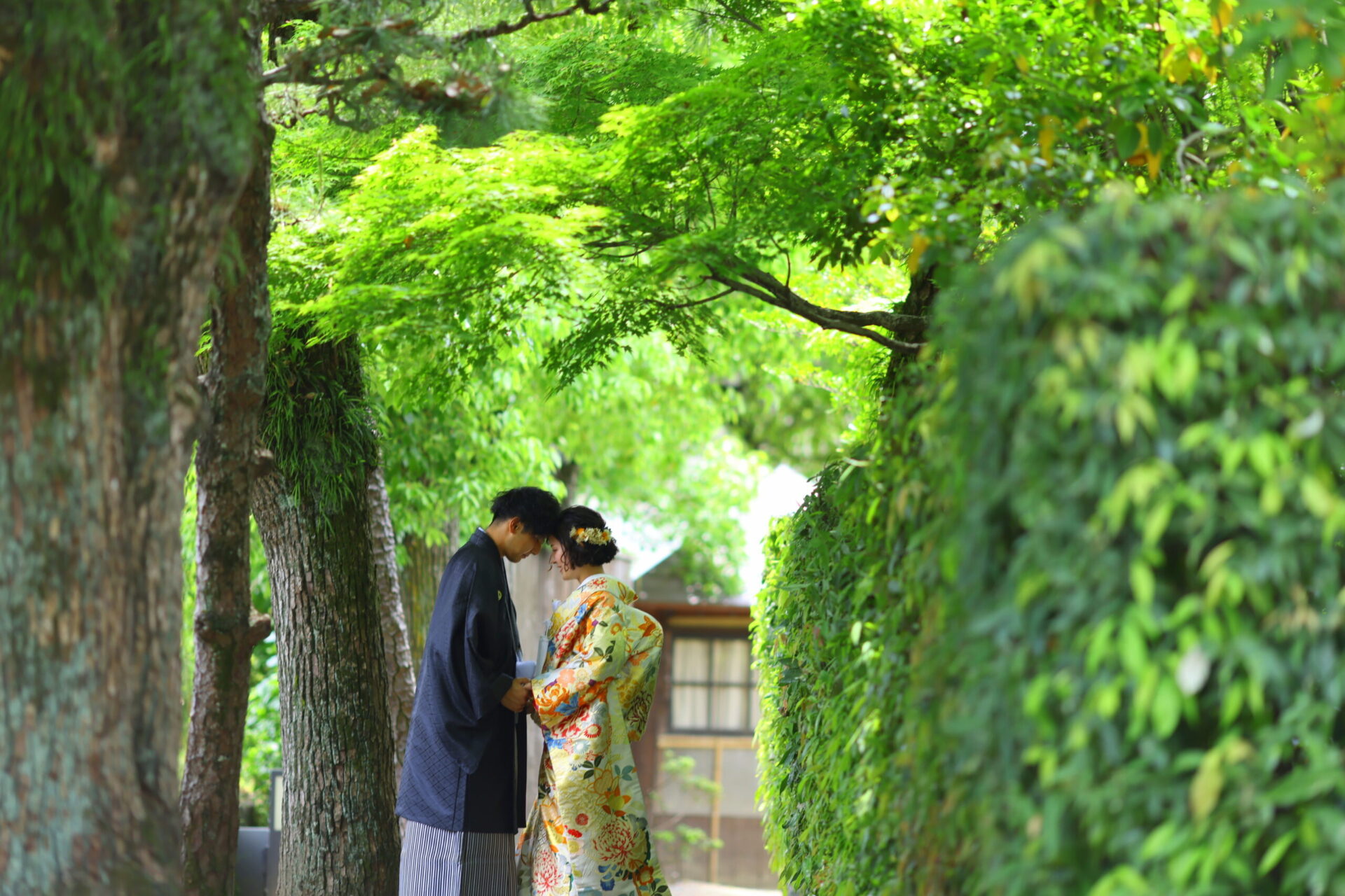 緑の時期の撮影、まだ間に合います！！！