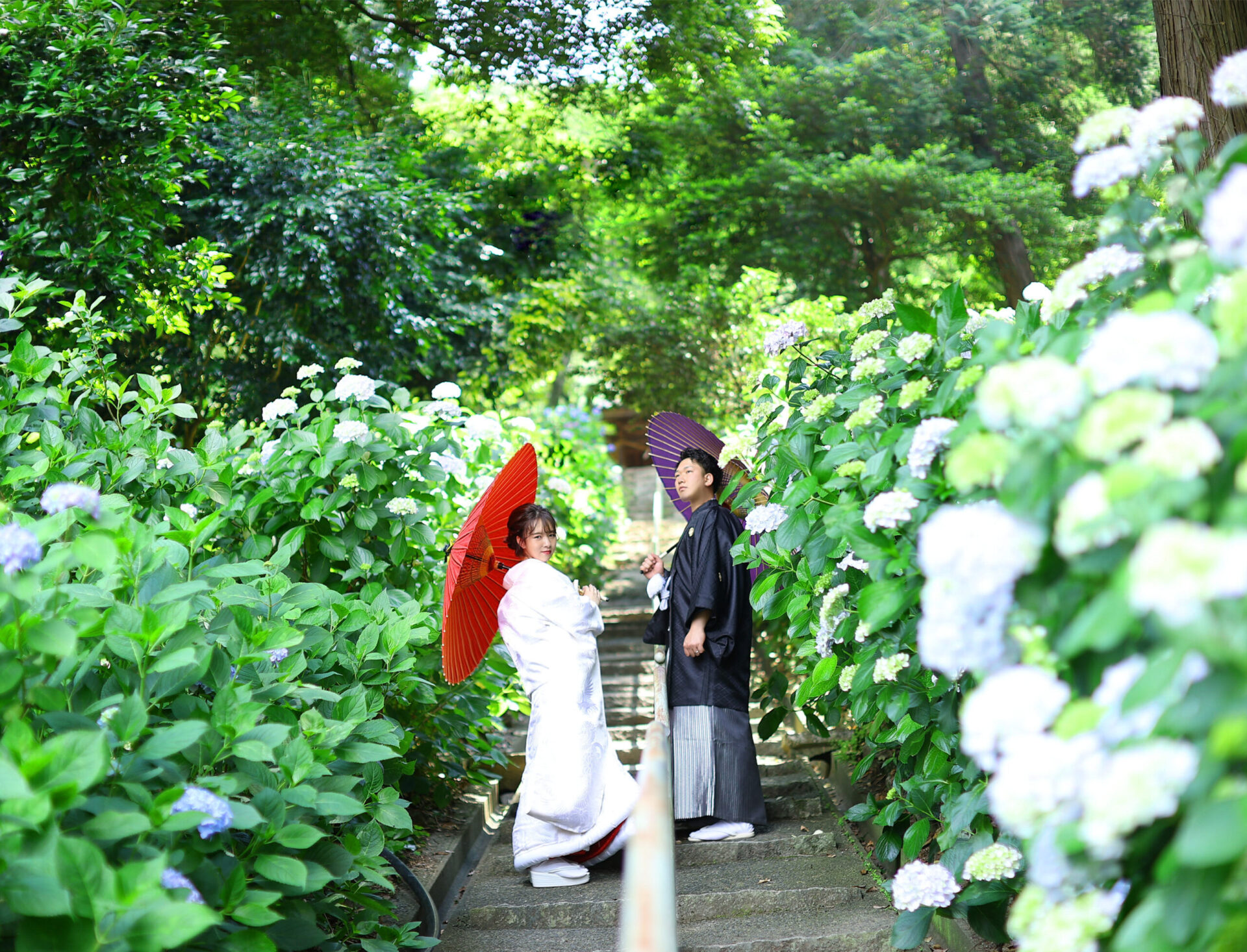 これからが旬♡紫陽花の撮影はいかがでしょうか？