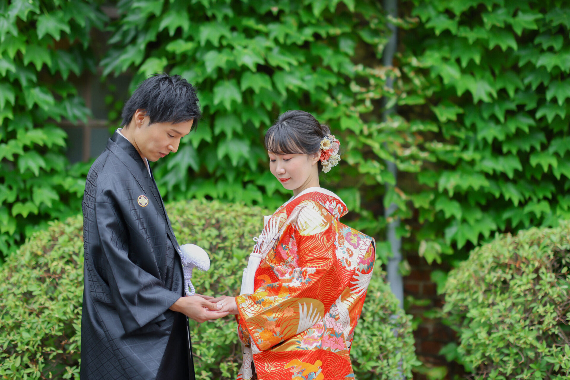 みどりがとても綺麗です♪