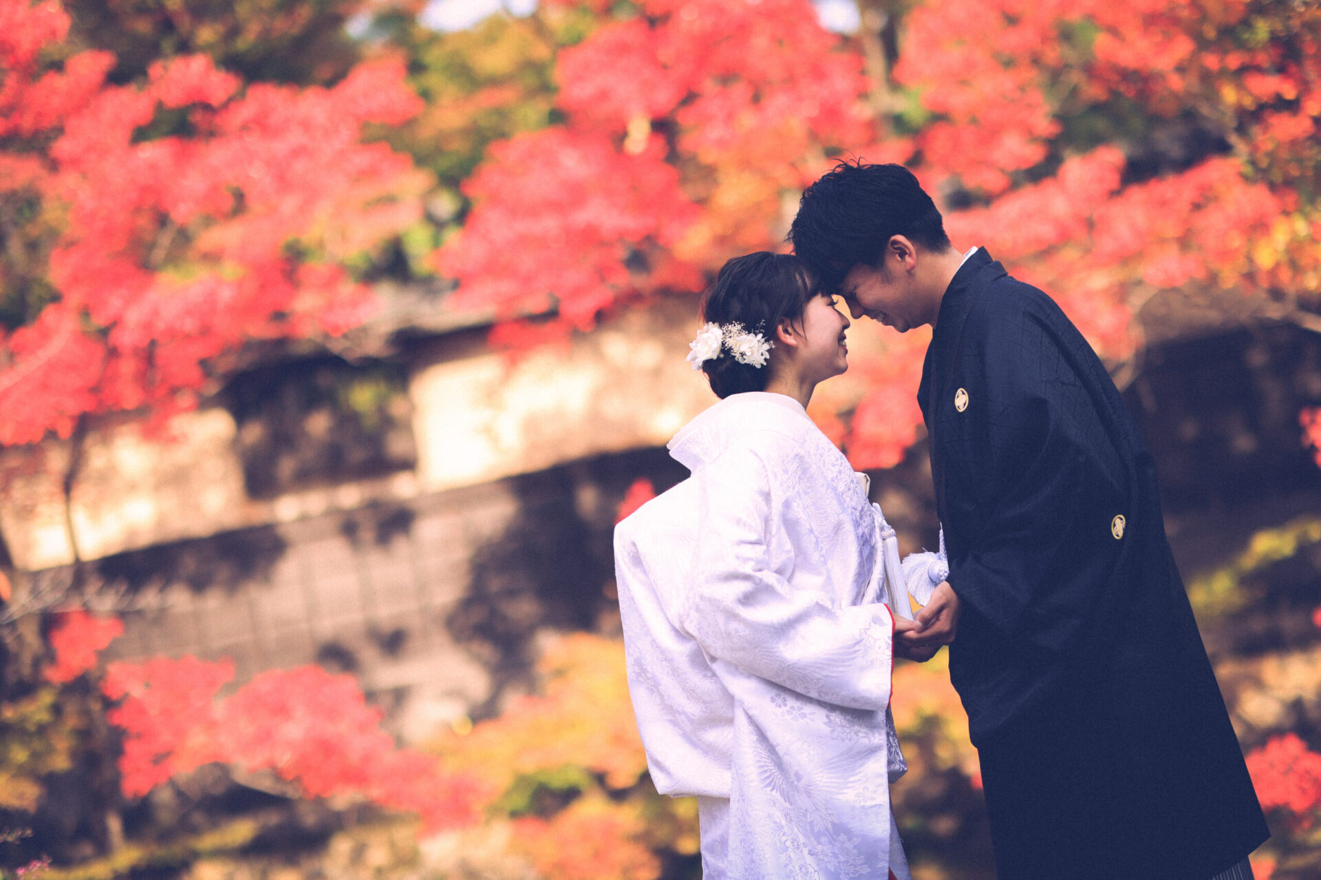 紅葉ロケーション早割キャンペーン実施中です★