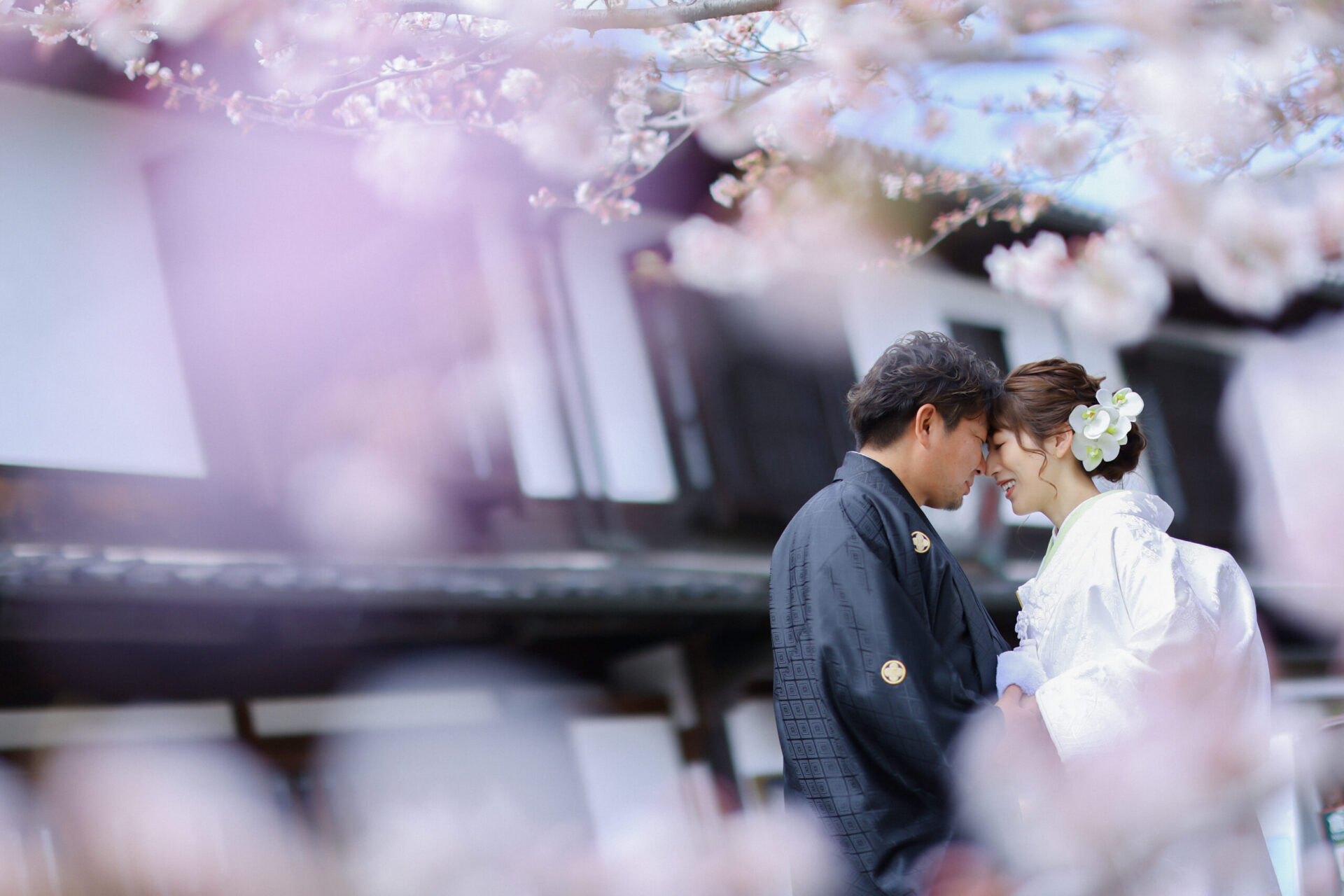 桜シーズンの到来♩