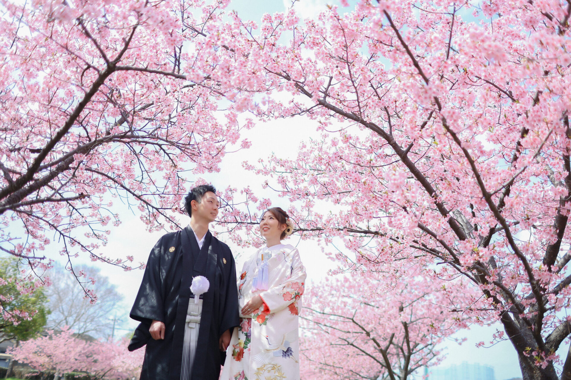 四季折々の美観地区