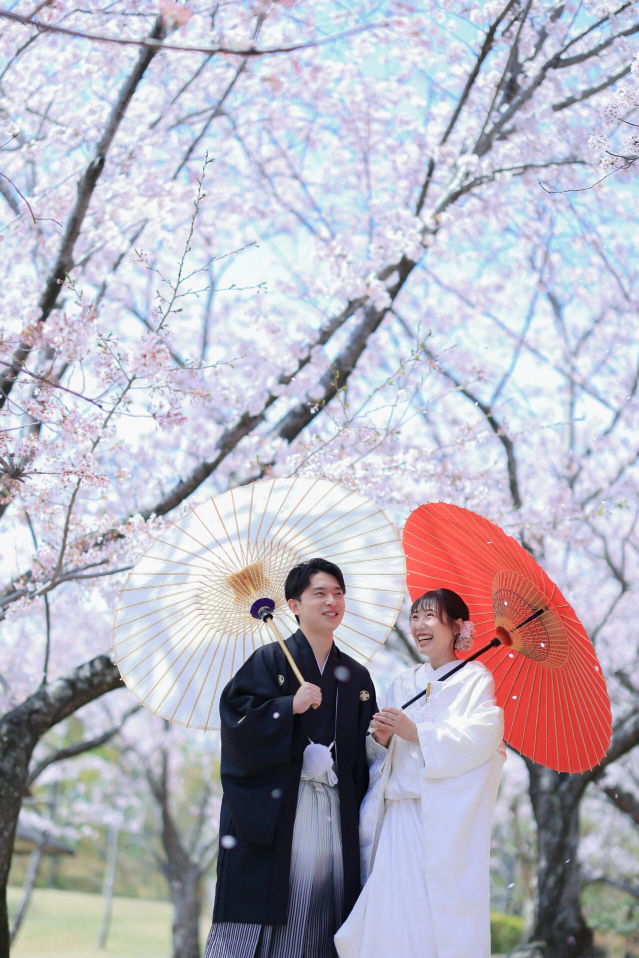 新年度はお祝いムードでいっぱい♡