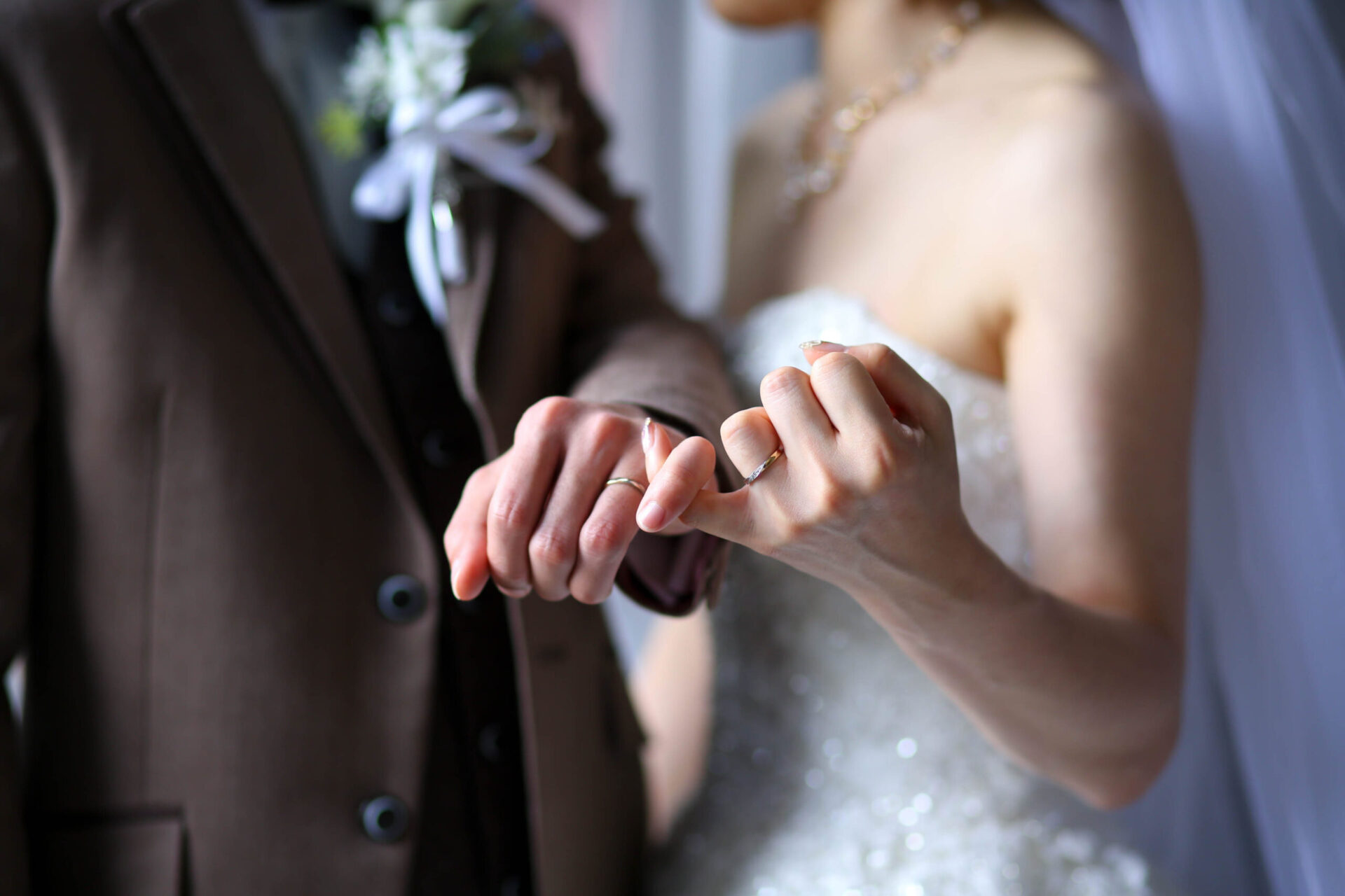 夏の季節も快適に撮影♩