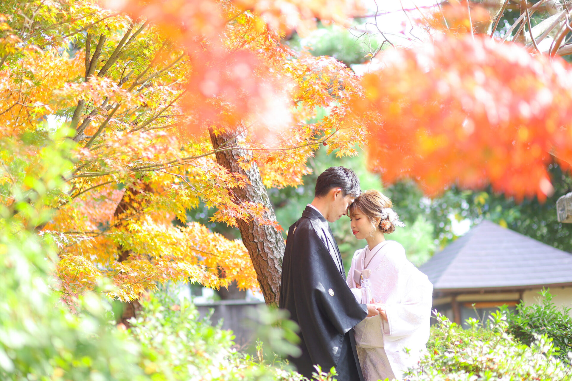 ★紅葉撮影のお申込み受付中★