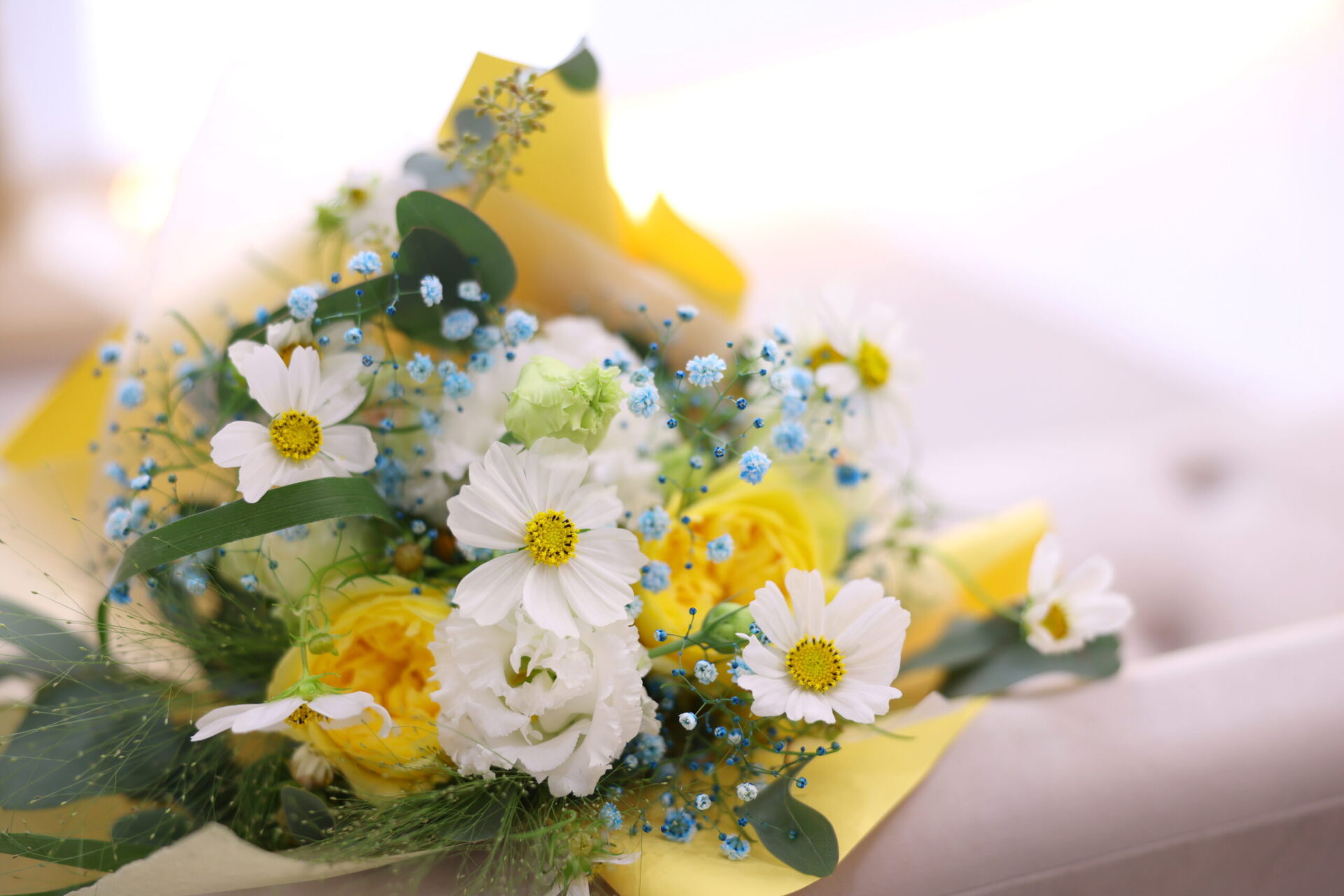 美観地区での家族挙式♩〈part.1〉