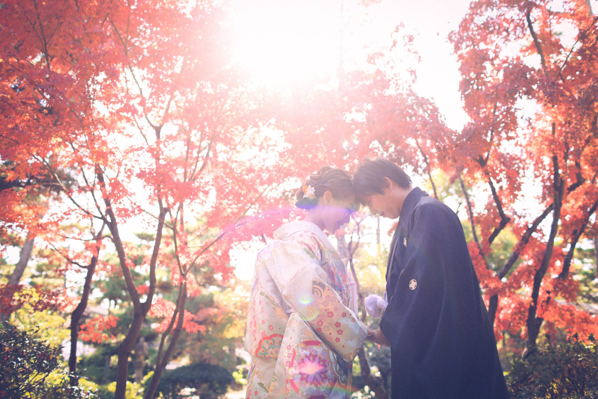 紅葉ロケーション、お急ぎください!(^^)!