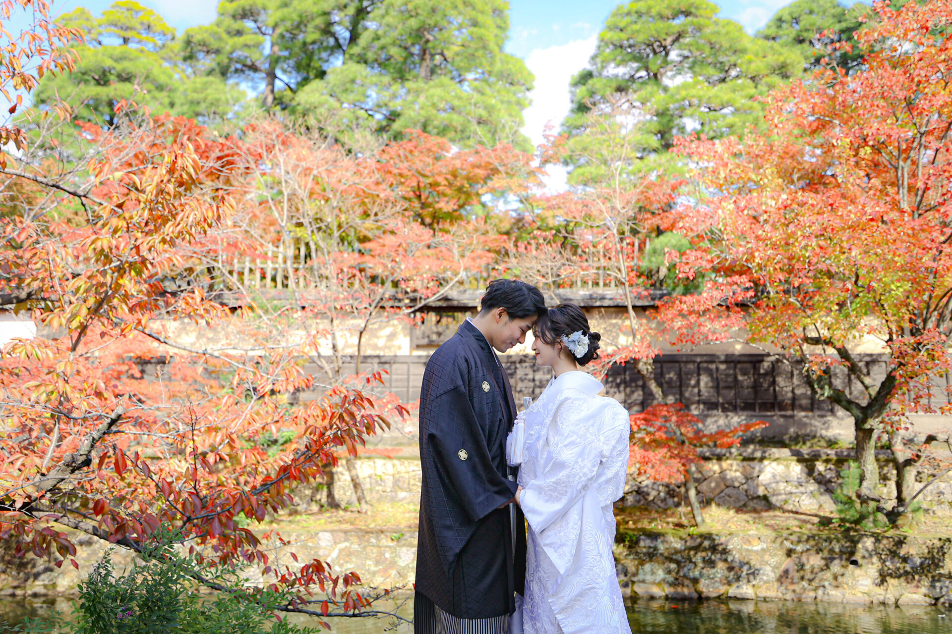 季節の移り変わり✧˖°