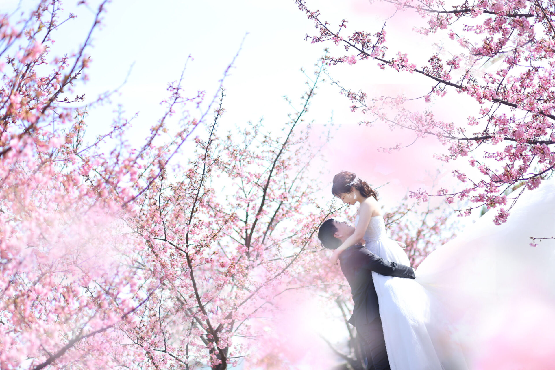 梅・河津桜・菜の花の撮影ご予約受付中です(*^-^*)