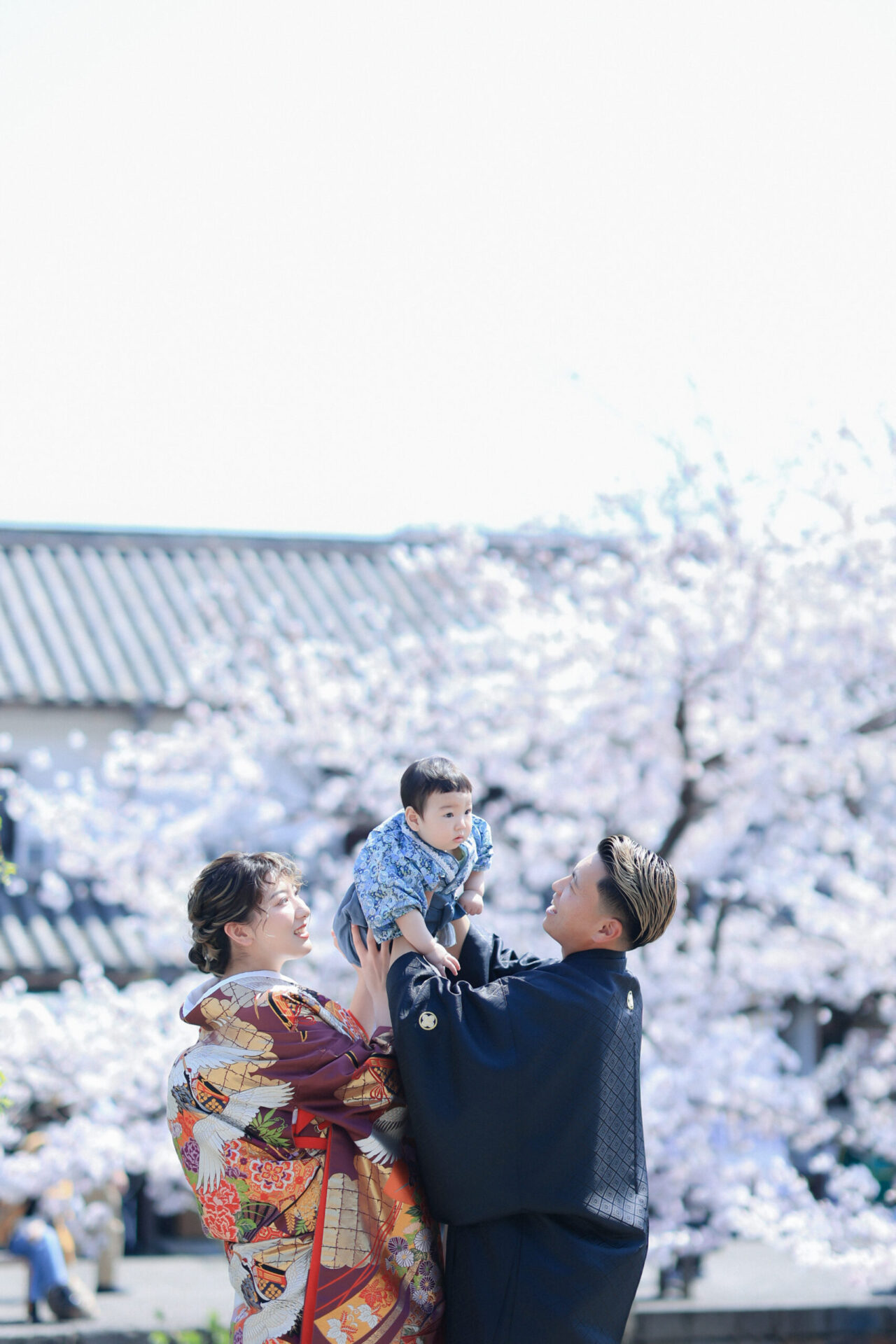 美観地区ロケーション×桜