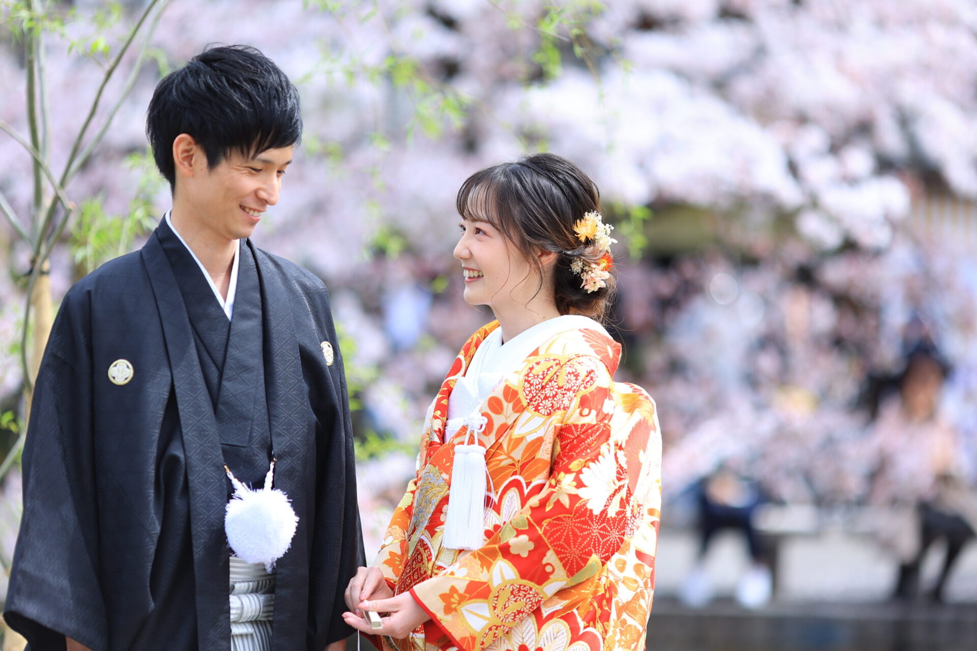 美観地区の桜撮影はいかがでしょうか？