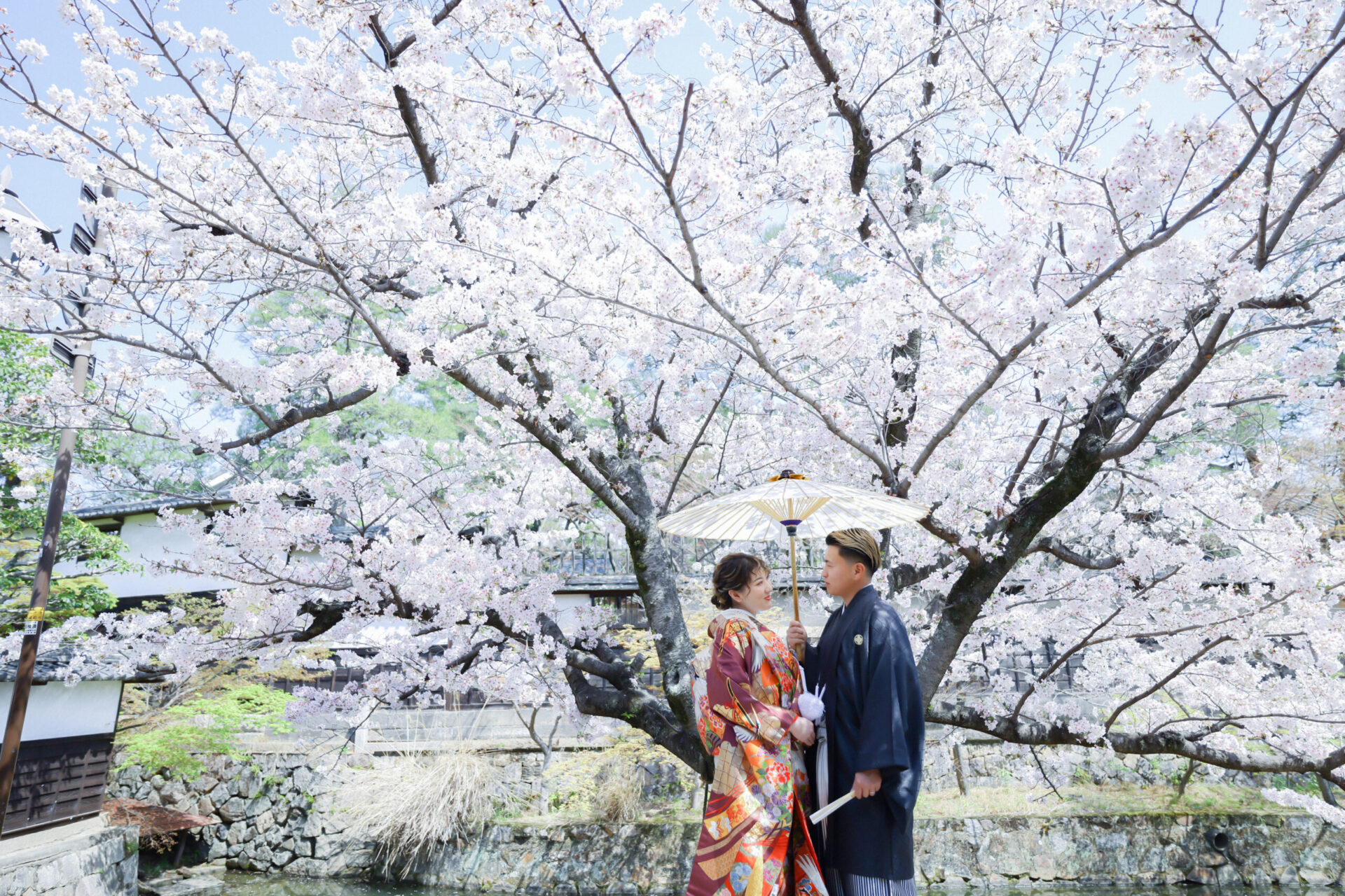 桜シーズの撮影はいかがでしょうか？♩