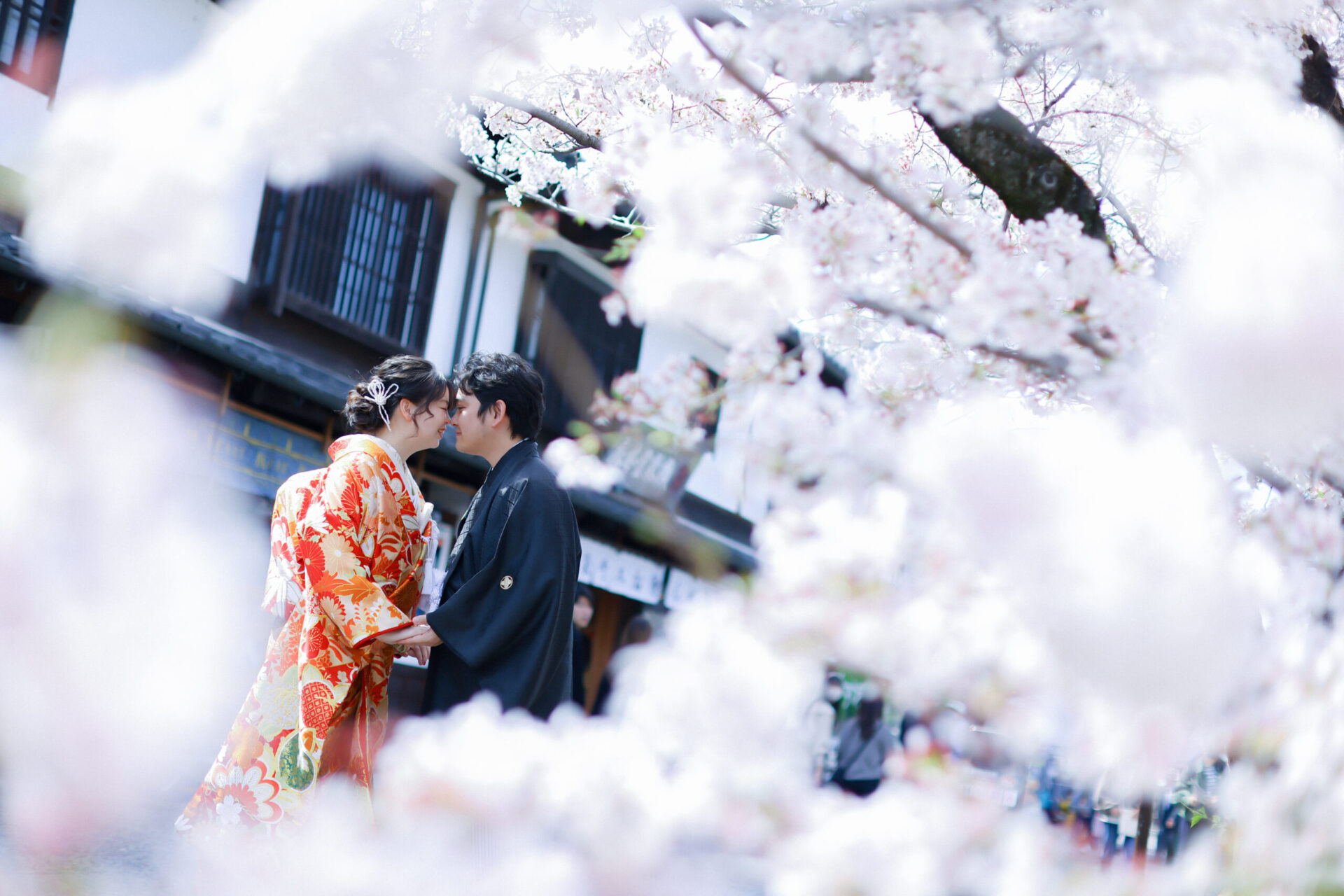 春の美観地区撮影～♪