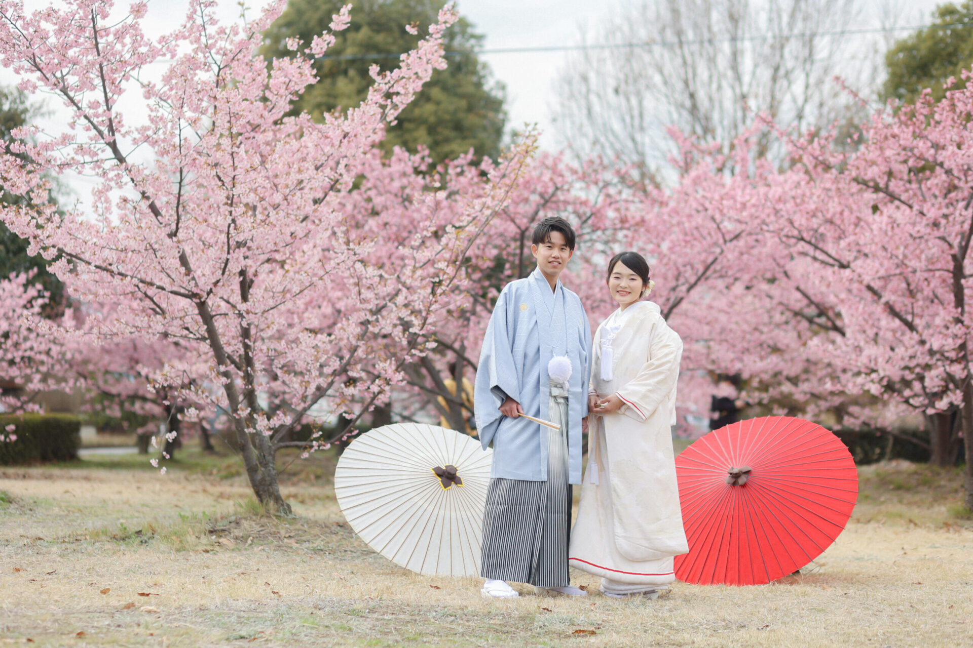 2024年 撮れたて河津桜ロケのご紹介 part.2