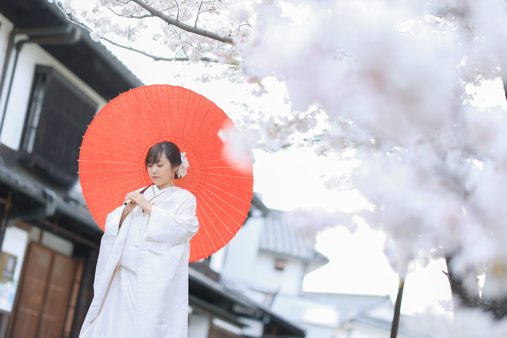 美観地区桜ロケーション撮影