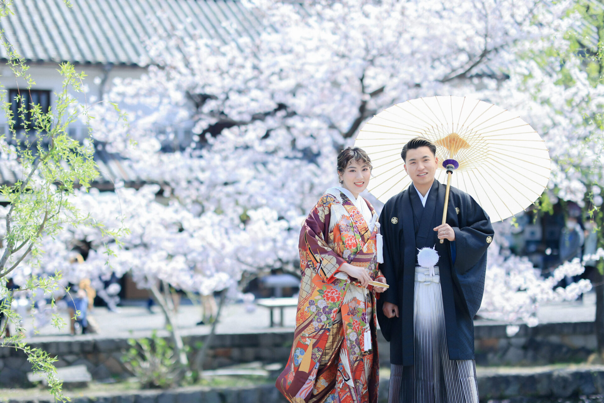 2024年桜ロケーション