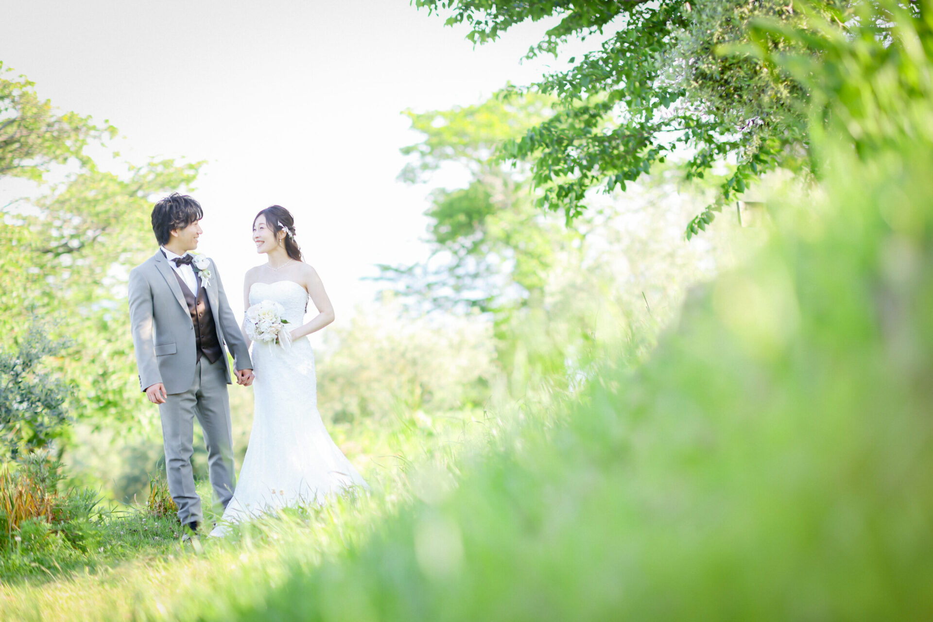 新緑のオリーブ園♪