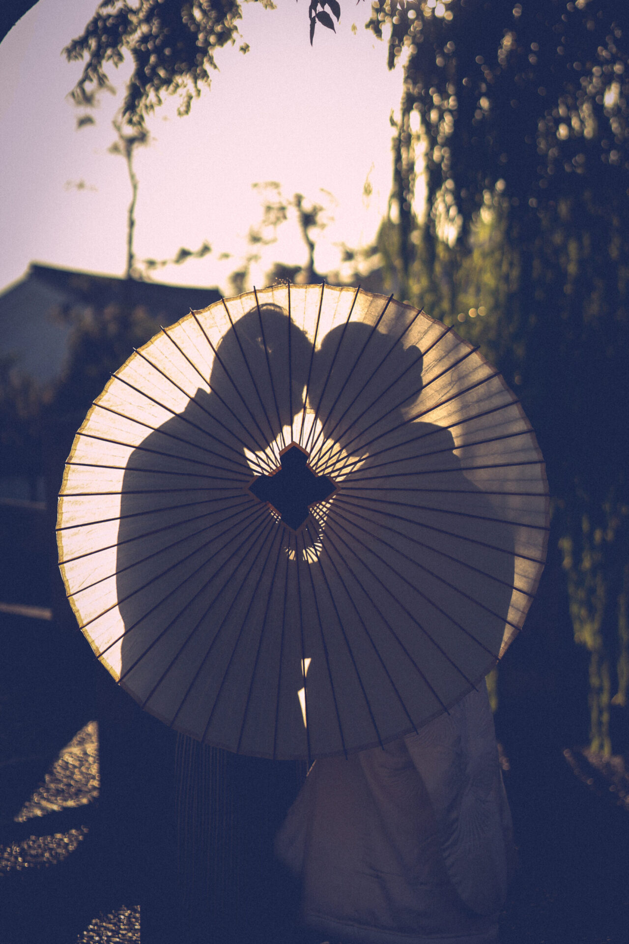 撮れたてご紹介♪