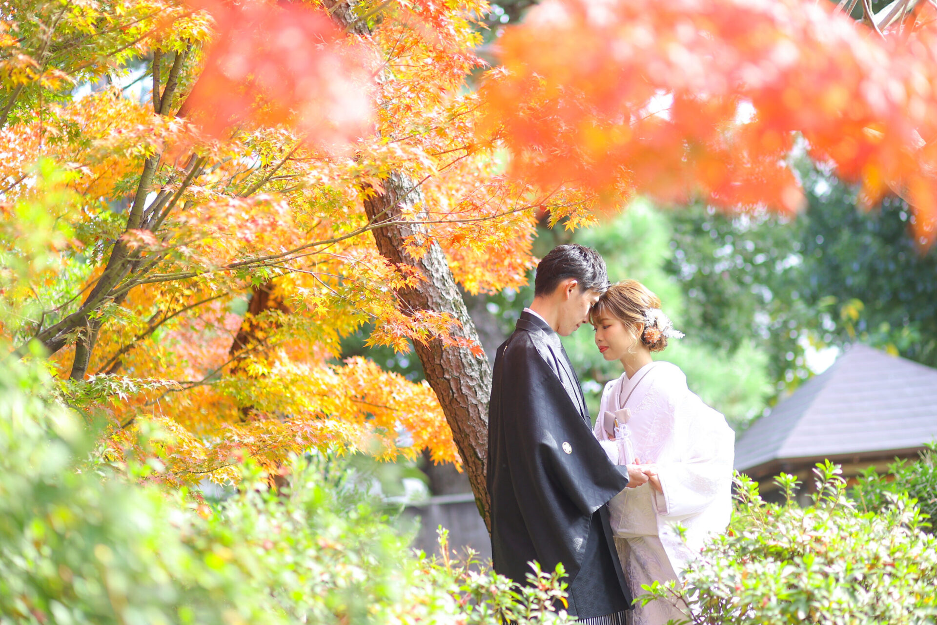 美観地区 紅葉ロケーション♪