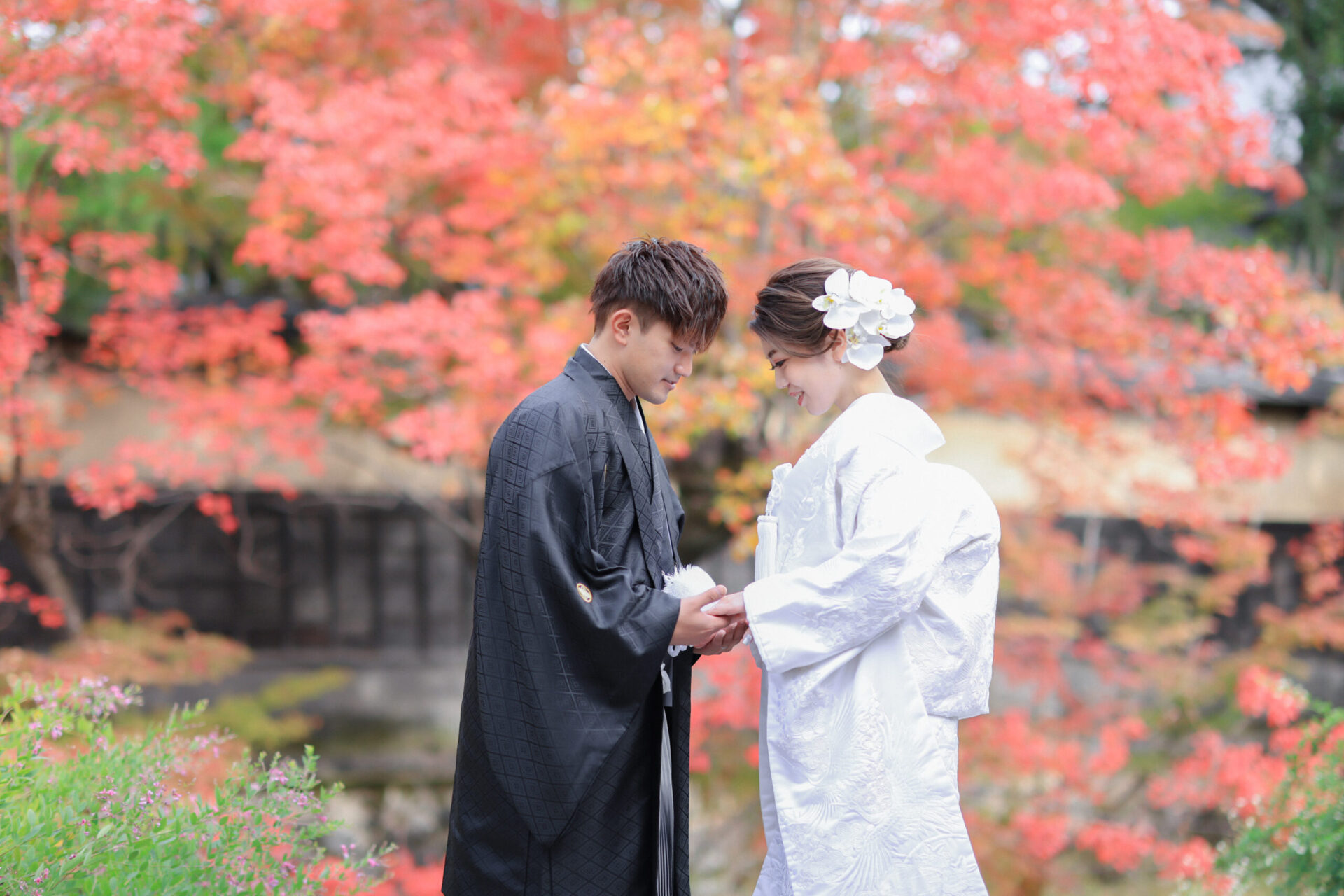 紅葉ロケーションご予約受付中＊*